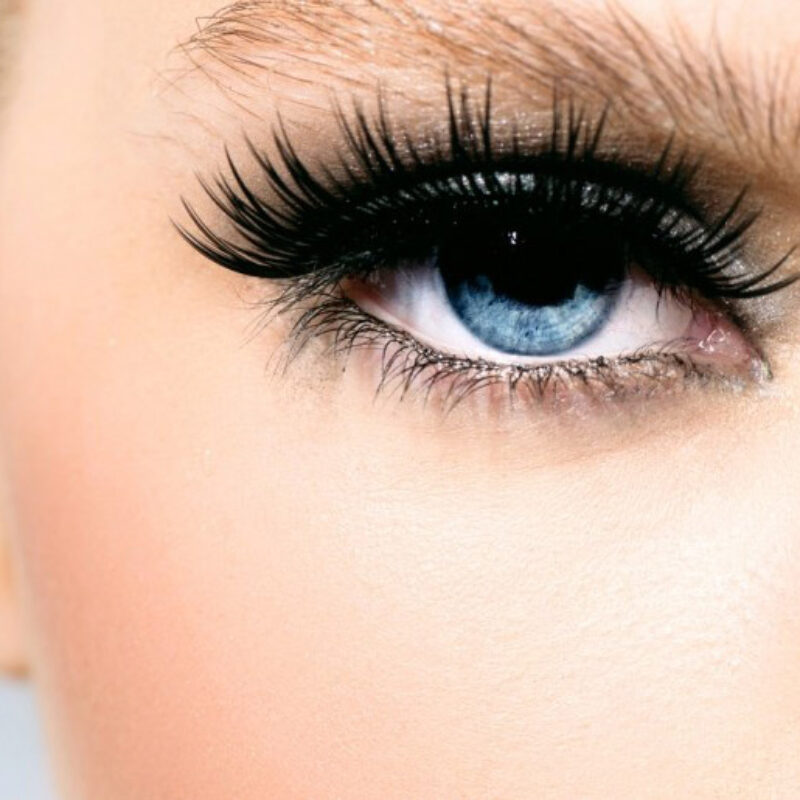 Lash-and-brows–2